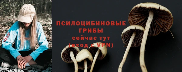 спиды Алексеевка