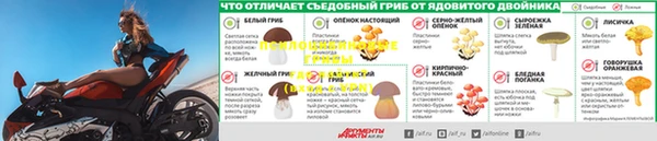бошки Алзамай