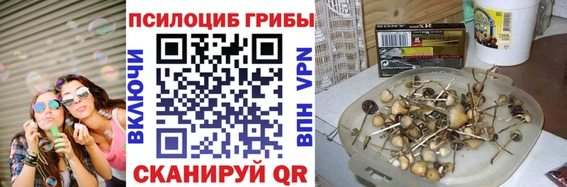 Псилоцибиновые грибы ЛСД  где найти наркотики  Ревда 